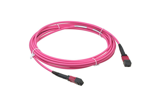 24-MTP-MTO-male-elite-Cable